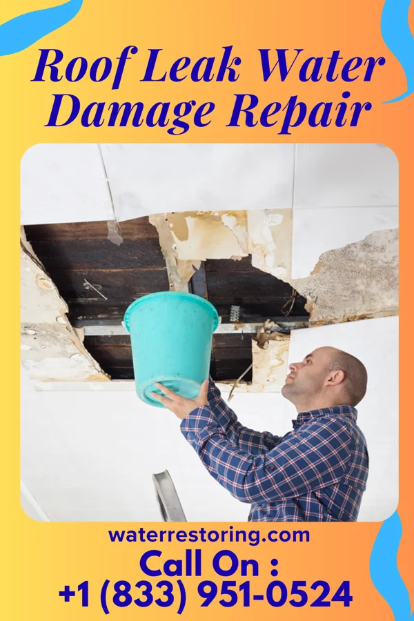 Roof Leak Water Damage Repair in Cheyenne, WY